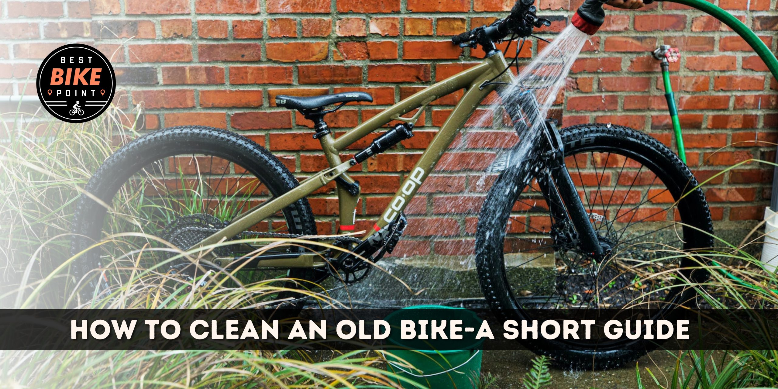 Cleaning an Old Bike